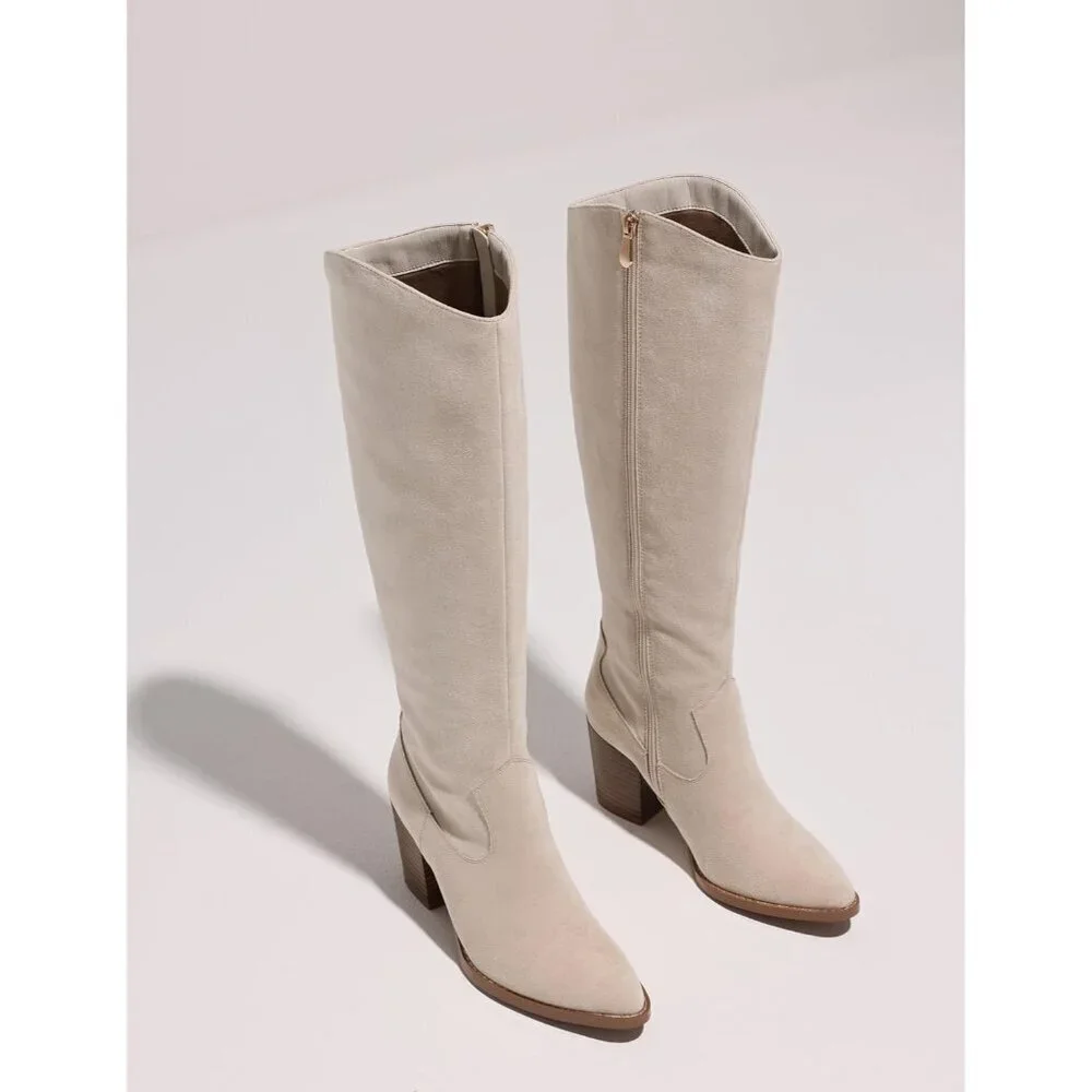 Womens Suede Beige Side Zipper Knee High Pointed Toe Chunky Heel Tall Boots